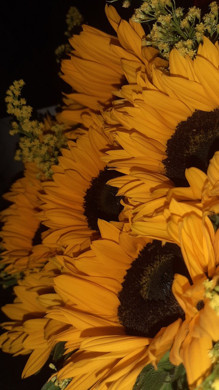The Sunflower Bouquet