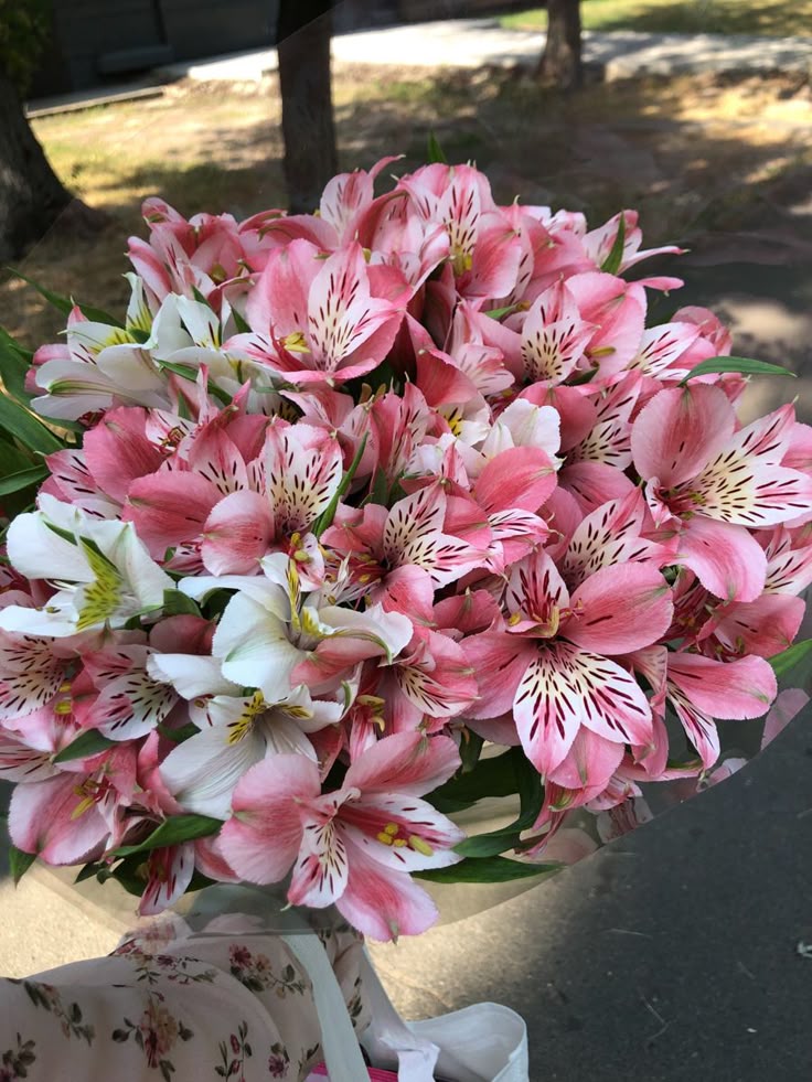 The Alstroemeria Bouquet
